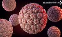 آشنایی با ویروس HPV